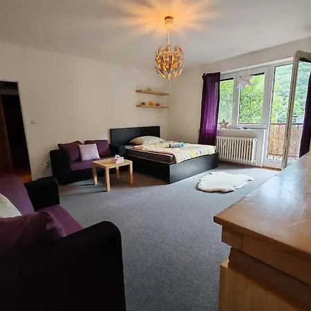 Apartment Star #22b-19